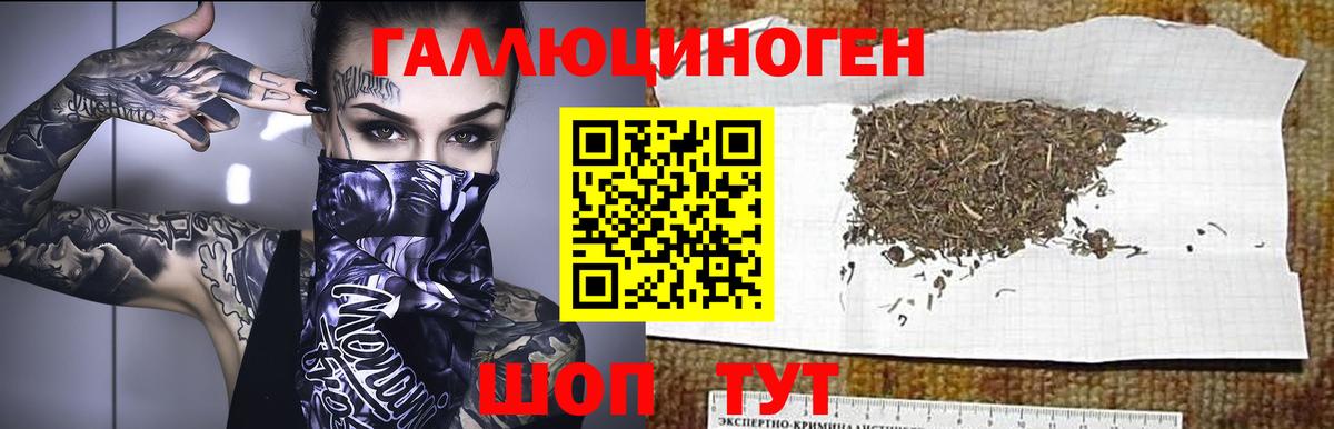 Прохладный  Галлюциногенные грибы Psilocybe  как найти наркотики  Вход с VPN  Галлюциногенные грибы мухоморы 